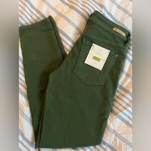 Pilcro and the Letterpress Slim Jeans - Green